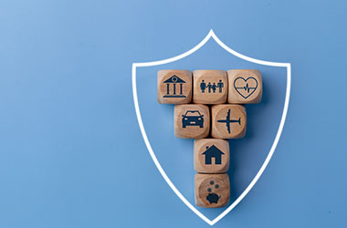 Shield outline with wooden blocks inside that indicate insured items.