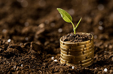 Stack of coins in the dirt with small planting growing out of them - representing investment growth.